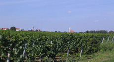Vols panoramiques au Burgenland - vols en avion, hélicoptère et montgolfière